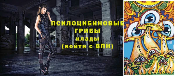 дмт Ладушкин
