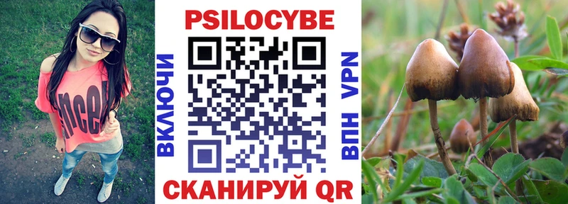 Псилоцибиновые грибы Psilocybine cubensis  мега как зайти  Кондопога 