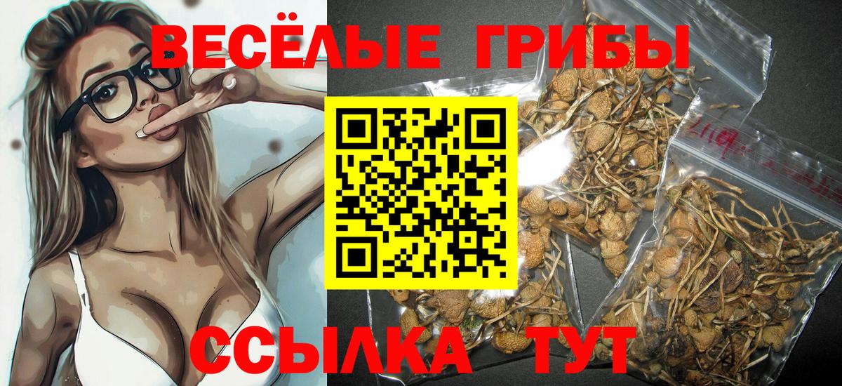 наркотики  Галлюциногенные грибы Cubensis  Вход с VPN  Кондопога 