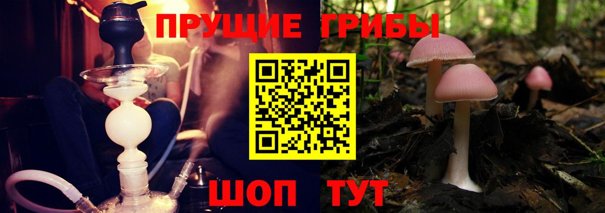 Псилоцибиновые грибы MAGIC MUSHROOMS Кондопога